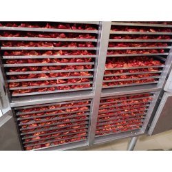 Deshidratador industrial BioMast de 40 bandejas 70x50