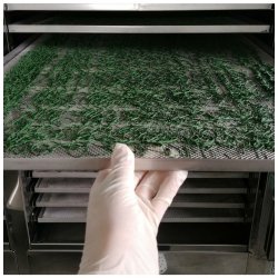 Deshidratador industrial BioMast de 40 bandejas 70x50