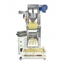 Maquina para elaborar raviolis en continuo Capitani RSC 250. Produccion 150/250 Kg/H