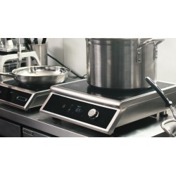 Placa de inducción profesional de alta potencia 3000 W con sonda de temperatura