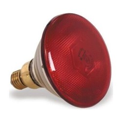 Bombilla infrarroja roja de 175 W para lámpara de calor