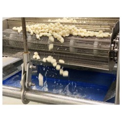 Cocedor continuo de pasta fresca