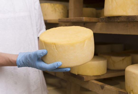 Descubre la mejor selección de maquinarias para la elaboración de quesos y productos lácteos
