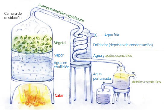 Proceso de destilación
